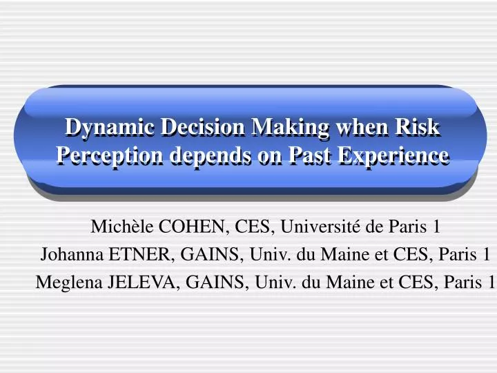 dynamic decision making when risk perception depends on past experience