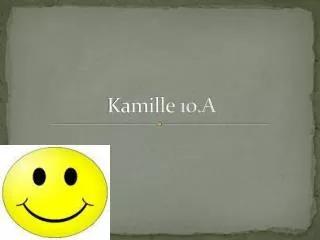 kamille 10 a