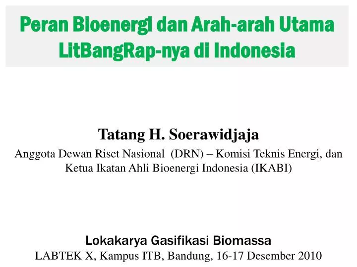 peran bioenergi dan arah arah utama litbangrap nya di indonesia