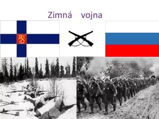 zimn vojna