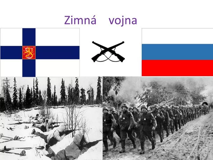 zimn vojna