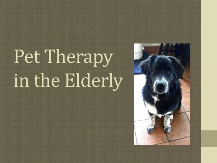 pet therapy in the elderly