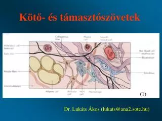k t s t maszt sz vetek