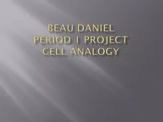 Beau Daniel Period 1 project Cell Analogy