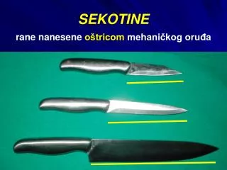 sekotine