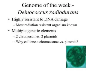 Genome of the week - Deinococcus radiodurans