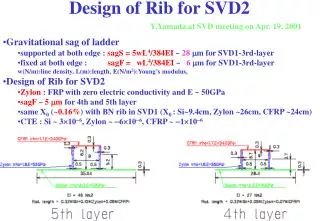 Design of Rib for SVD2