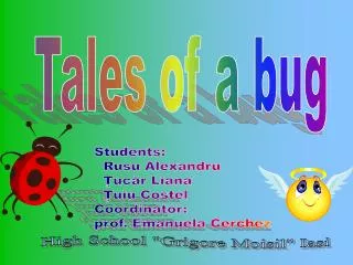 Tales of a bug