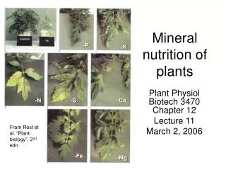 Mineral nutrition of plants