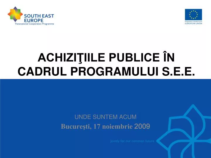 achizi iile publice n cadrul programului s e e