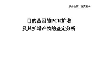 目的基因的 PCR 扩增 及其扩增产物的鉴定分析