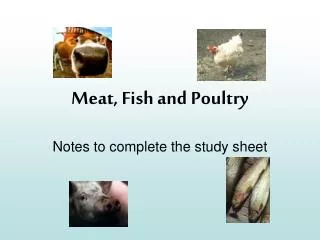 Meat, Fish and Poultry