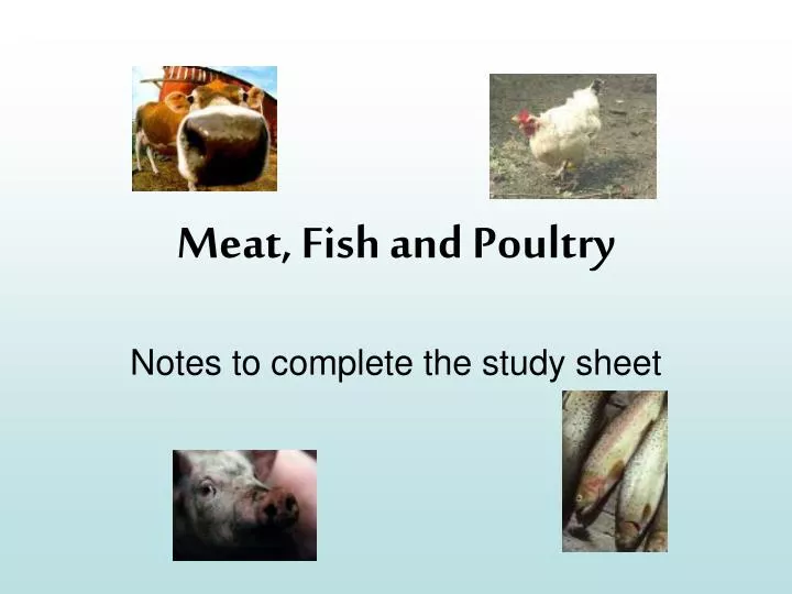 meat fish and poultry