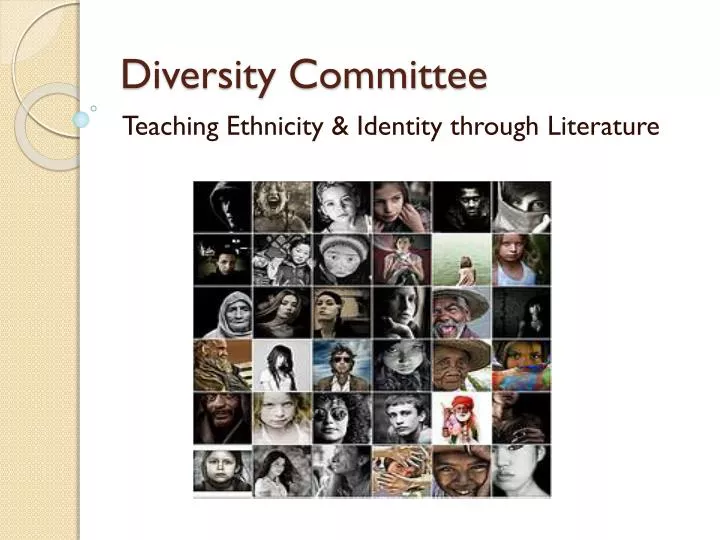 diversity committee