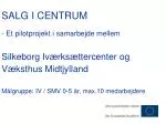 SALG I CENTRUM - slide 1