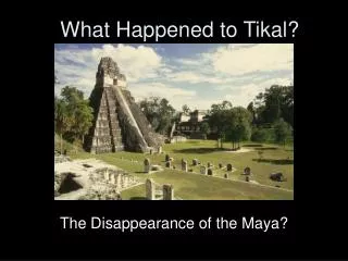 What Happened to Tikal?