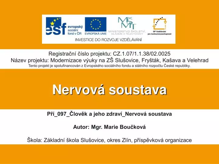 nervov soustava