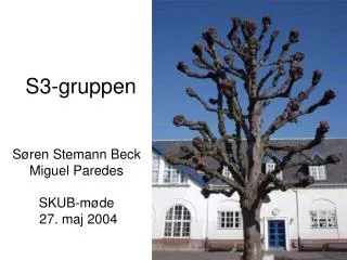 s3 gruppen