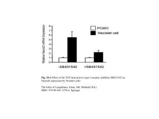 Fig. 29.2 Response of neoIslet cells to TGF-beta and activin with activation of Smad signalling