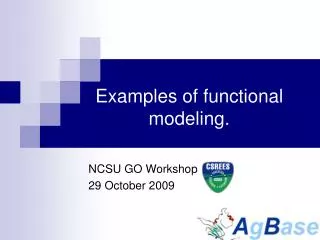 Examples of functional modeling.