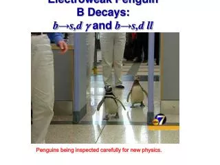 Electroweak Penguin B Decays: b ? s,d g and b ? s,d ll