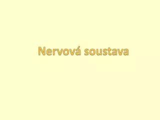 nervov soustava