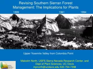 Revising Southern Sierran Forest Management: The Implications for Plants