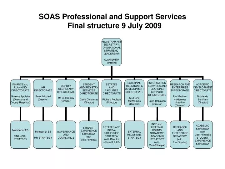 soas professional and support services final structure 9 july 2009