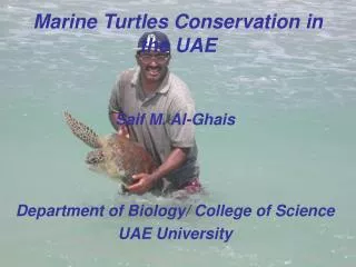 Marine Turtles Conservation in the UAE