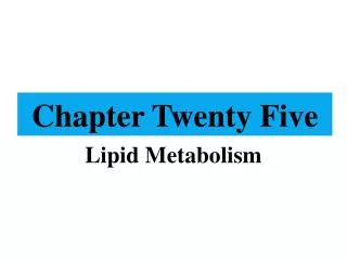 Chapter Twenty Five