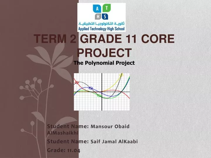 term 2 grade 11 core project the polynomial project