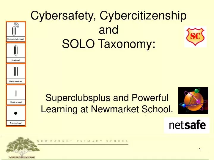 cybersafety cybercitizenship and solo taxonomy