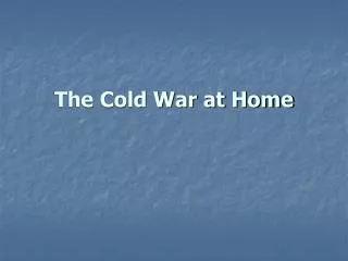 The Cold War at Home