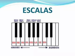 escalas