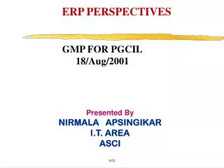 ERP PERSPECTIVES
