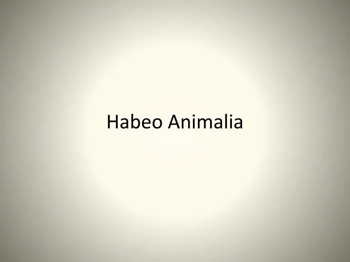 habeo animalia