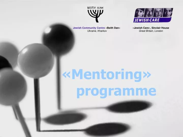mentoring programme