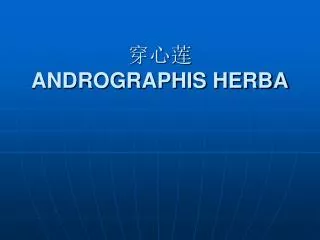 andrographis herba