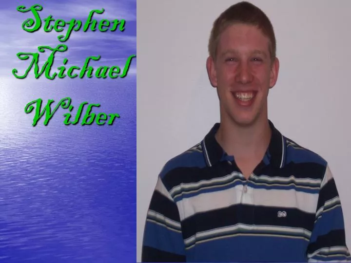 stephen michael wilber