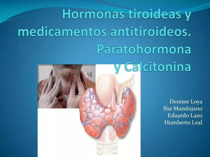 hormonas tiroideas y medicamentos antitiroideos paratohormona y calcitonina