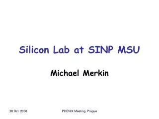 Silicon Lab at SINP MSU