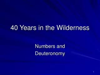 40 Years in the Wilderness
