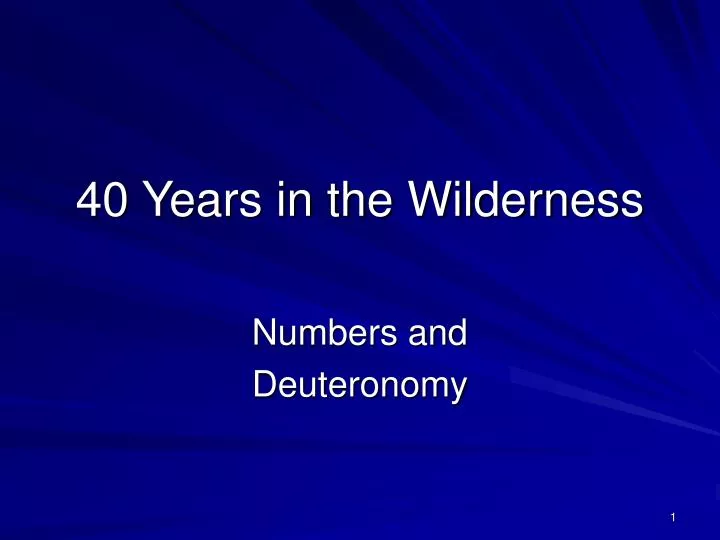 40 years in the wilderness