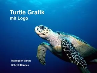 turtle grafik