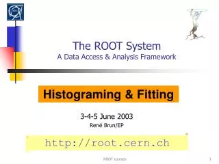 The ROOT System A Data Access &amp; Analysis Framework