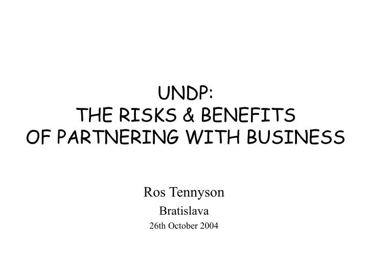 undp the risks benefits of partnering with business