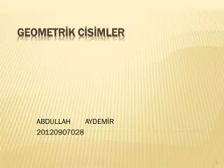 abdullah aydem r 20120907028