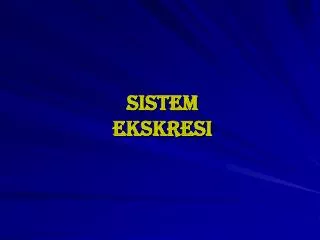 sistem ekskresi