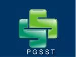 P G S S T - slide 1