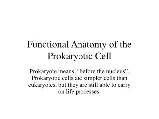 Functional Anatomy of the Prokaryotic Cell